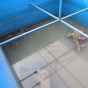 潤(rùn)博化妝品污水處理前